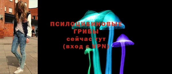 гидра Абдулино