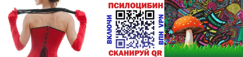 Галлюциногенные грибы Psilocybe kraken Хасавюрт